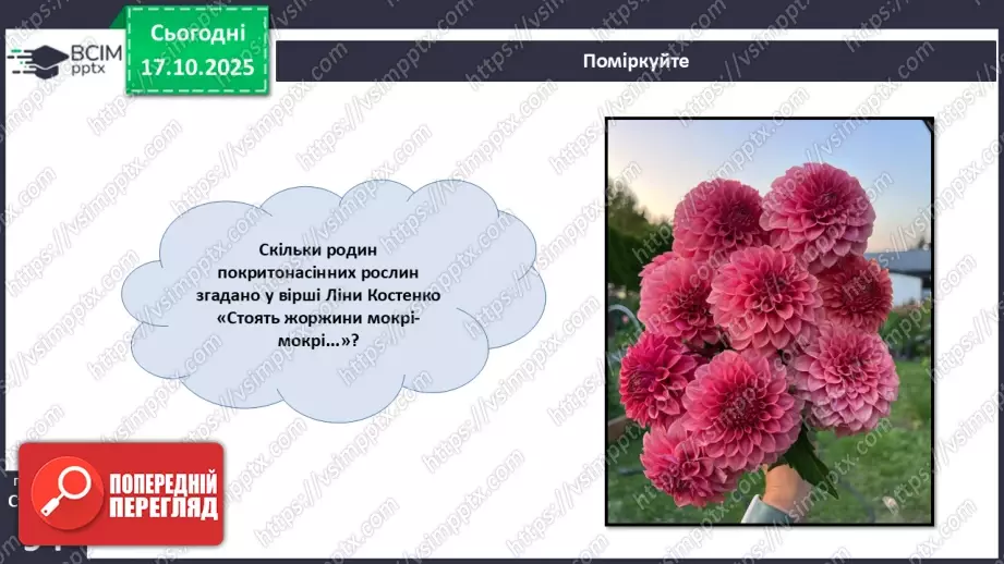 №026 - Дводольні та Однодольні покритонасінні рослини.23 №026 - Дводольні та Однодольні покритонасінні рослини.23
