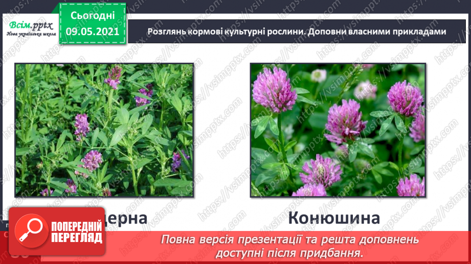 №053 - На які групи поділяють культурні рослини?6 №053 - На які групи поділяють культурні рослини?6