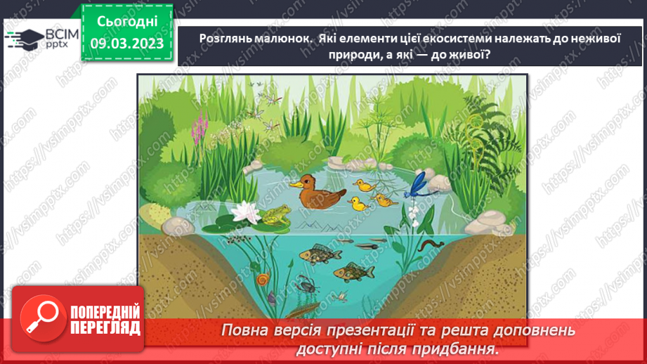 №080 - Ставок і ліс як екосистеми.7