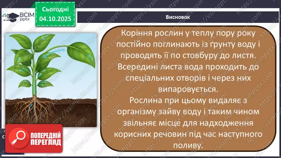 №0020 - Як провести експеримент.13 №0020 - Як провести експеримент.13