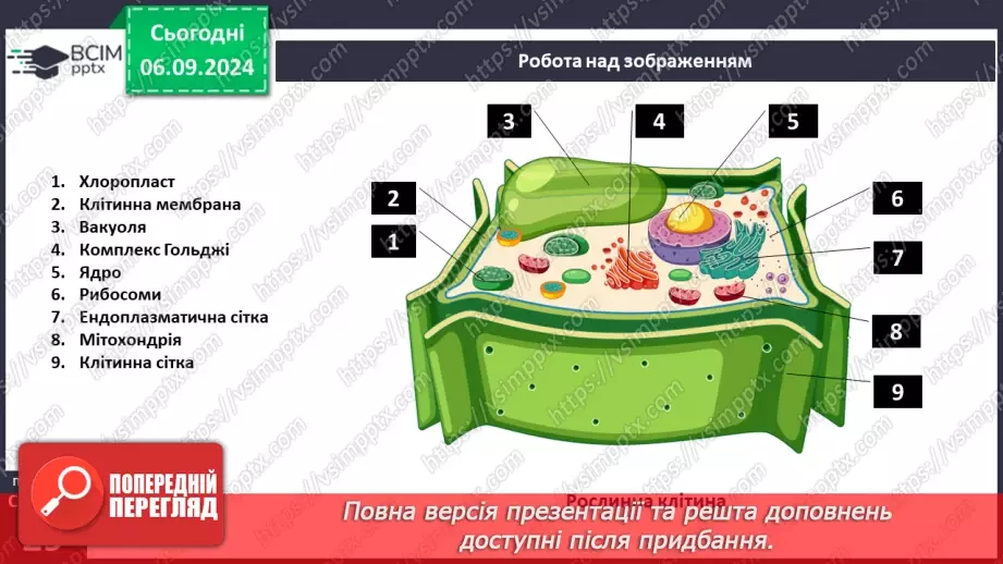 №07 - Будова клітини. Органели клітини.13