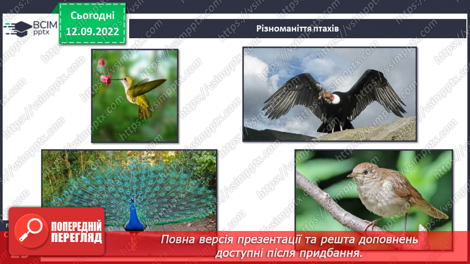 №04 - Повага до різноманіття. Толерантність, упередженість, дискримінація.5