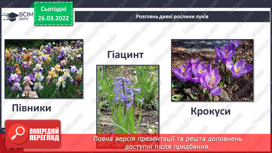 №080 - Лісостеп. Степ6 №080 - Лісостеп. Степ6