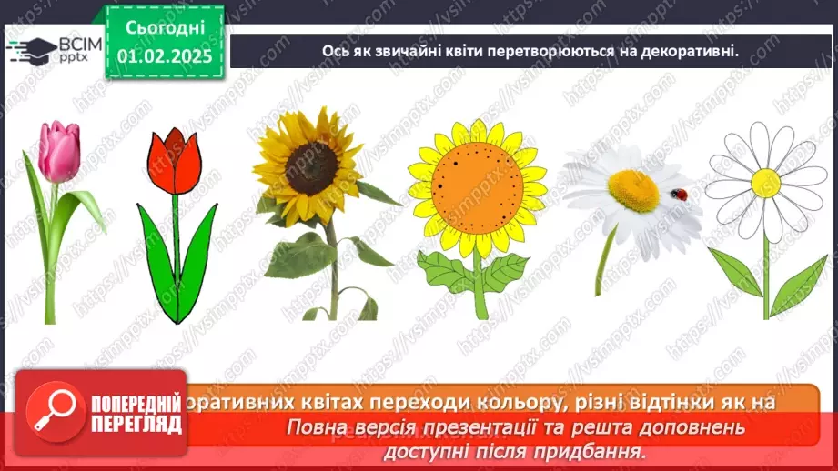 №021 - Світ рослин у мистецтві13 №021 - Світ рослин у мистецтві13