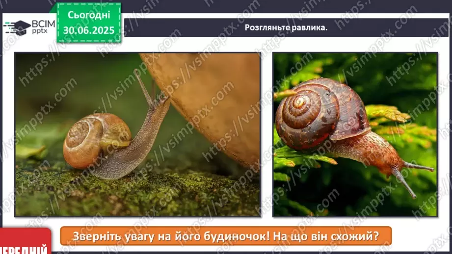 №008 - Товаришуй з кумедними тваринками12 №008 - Товаришуй з кумедними тваринками12