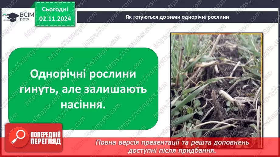 №0032 - Як рослини готуються до зими18 №0032 - Як рослини готуються до зими18