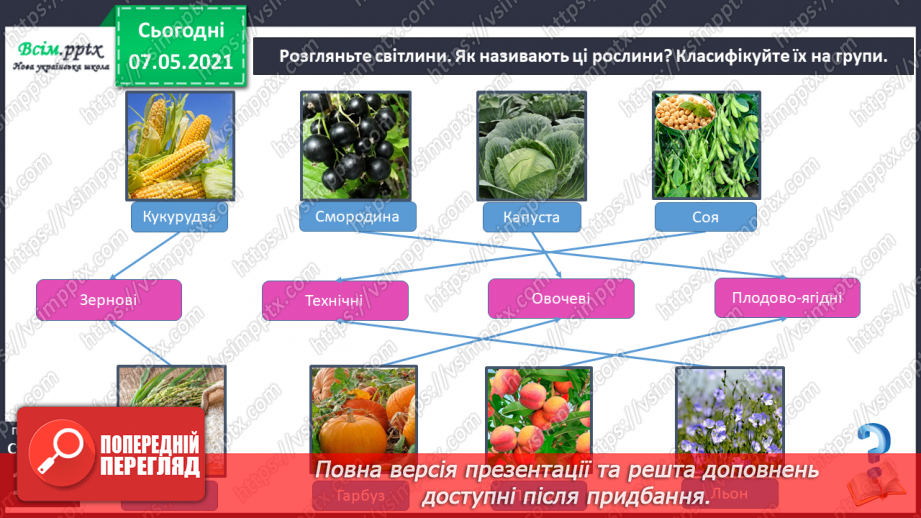 №041 - Різноманітність культурних рослин. Значення рослин8 №041 - Різноманітність культурних рослин. Значення рослин8