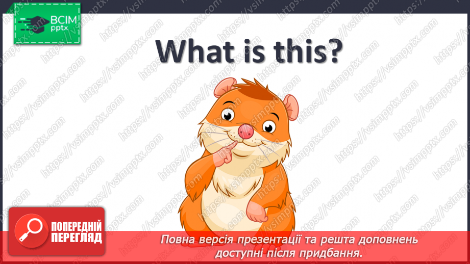 №33 - My pets21