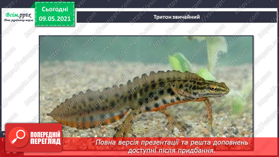 №064 - Чому земноводні мають таку назву?10 №064 - Чому земноводні мають таку назву?10