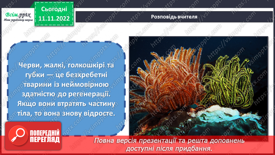 №13 - Черви, жалкі, голкошкірі та губки. Виготовляємо обкладинку інтерактивного зошита «Царство тварин».4