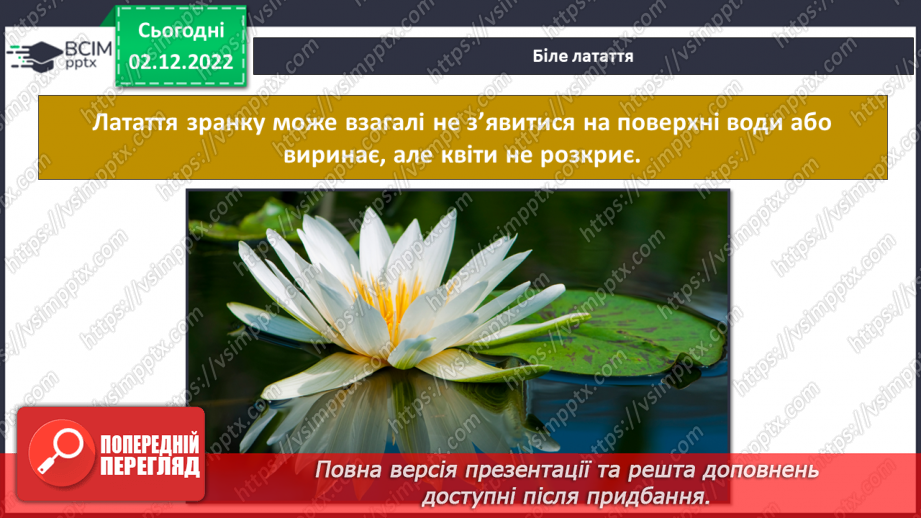 №32 - Проєктна робота. Презентаційна робота на тему «Передбачення погоди за поведінкою тварин і рослин»13 №32 - Проєктна робота. Презентаційна робота на тему «Передбачення погоди за поведінкою тварин і рослин»13