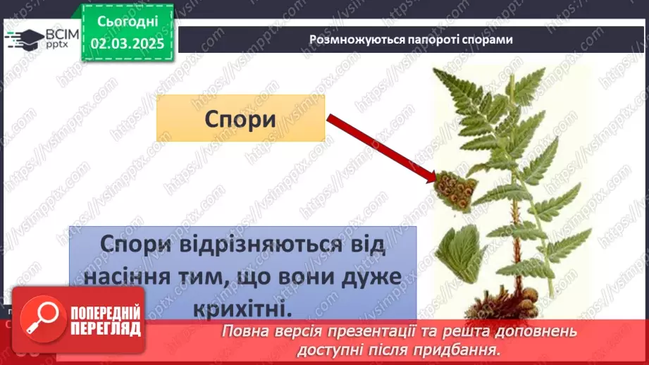 №074 - Різноманітність рослин. ст.59-6117