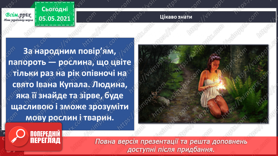 №034 - Папороті.21 №034 - Папороті.21