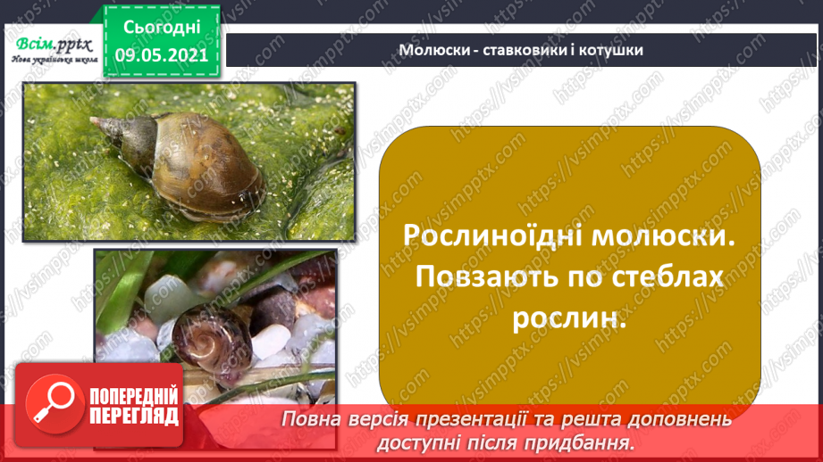 №074-75 - Які тварини живуть на луках, у степах і водоймах?24