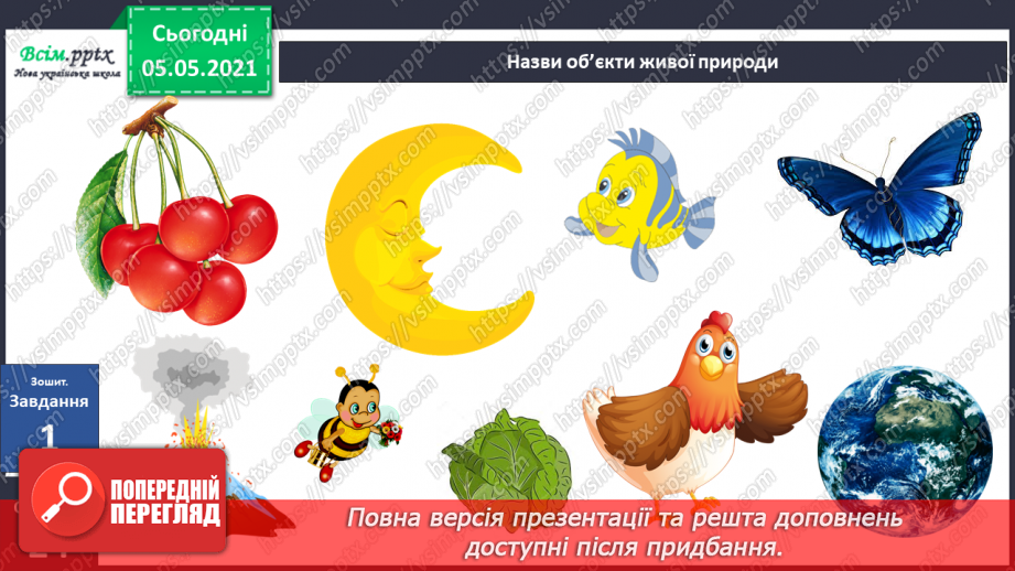 №031 - Організми, які тебе оточують.29