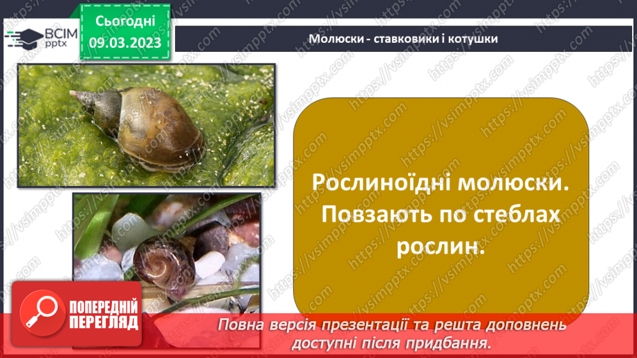 №080 - Ставок і ліс як екосистеми.14