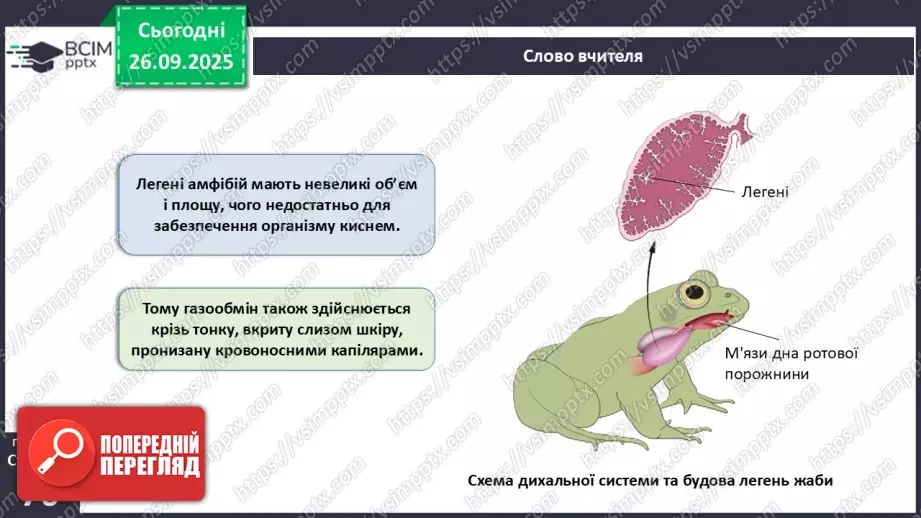 №018 - Дихання як властивість живого. Органи дихання в безхребетних тварин. Еволюція дихальної системи хордових.21 №018 - Дихання як властивість живого. Органи дихання в безхребетних тварин. Еволюція дихальної системи хордових.21