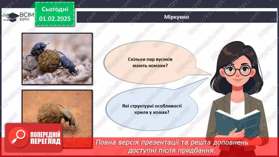 №57 - Комахи (продовження).7 №57 - Комахи (продовження).7