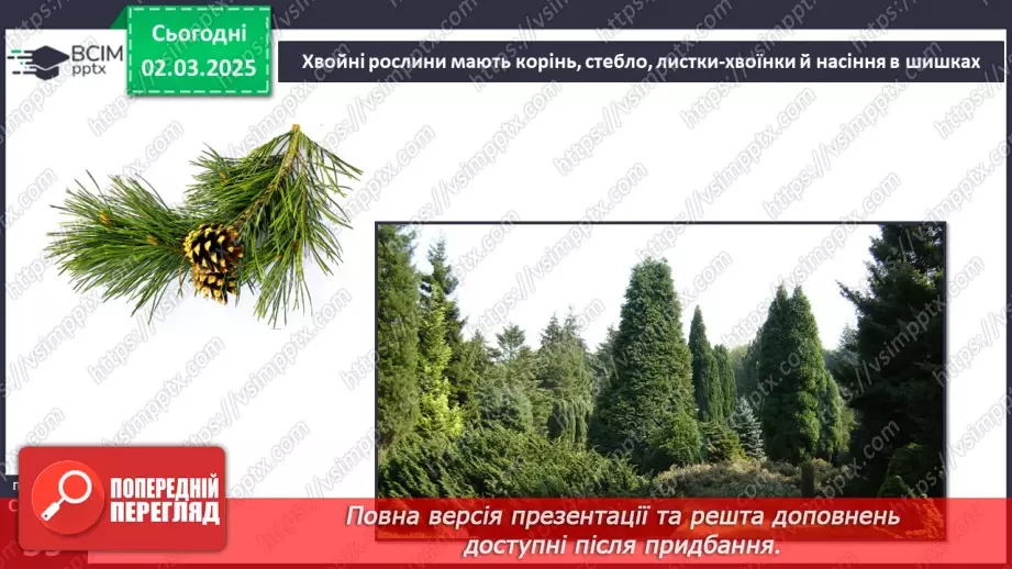 №074 - Різноманітність рослин. ст.59-617