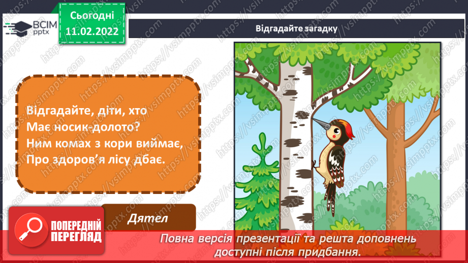 №23 - Основні поняття: анімація СМ: фото тварин і відповідних персонажів в анімації; м/ф «Курча в клітиночку»2