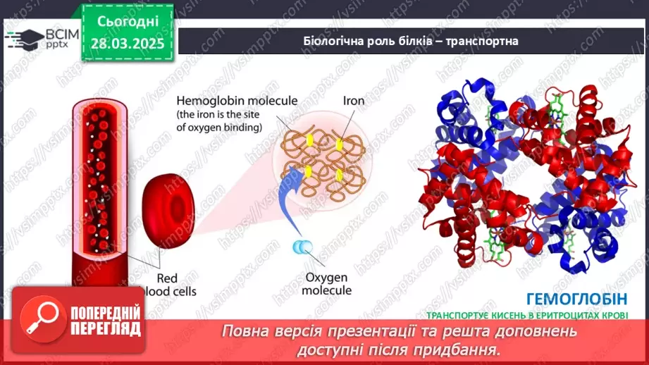 №29-30 - Білки.24 №29-30 - Білки.24