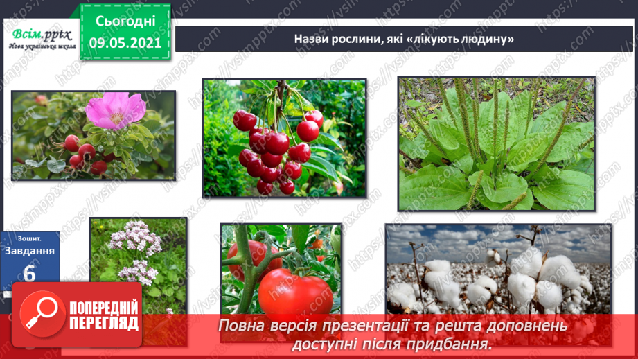 №053 - На які групи поділяють культурні рослини?20 №053 - На які групи поділяють культурні рослини?20