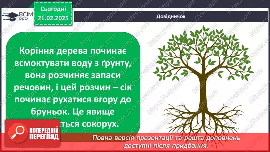 №0071 - Як почуваються рослини навесні9