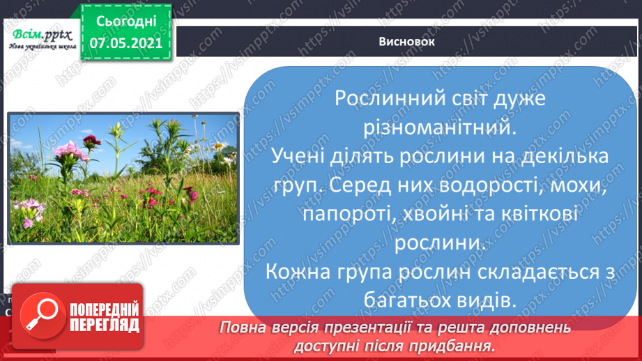 №036 - Які бувають рослини19 №036 - Які бувають рослини19