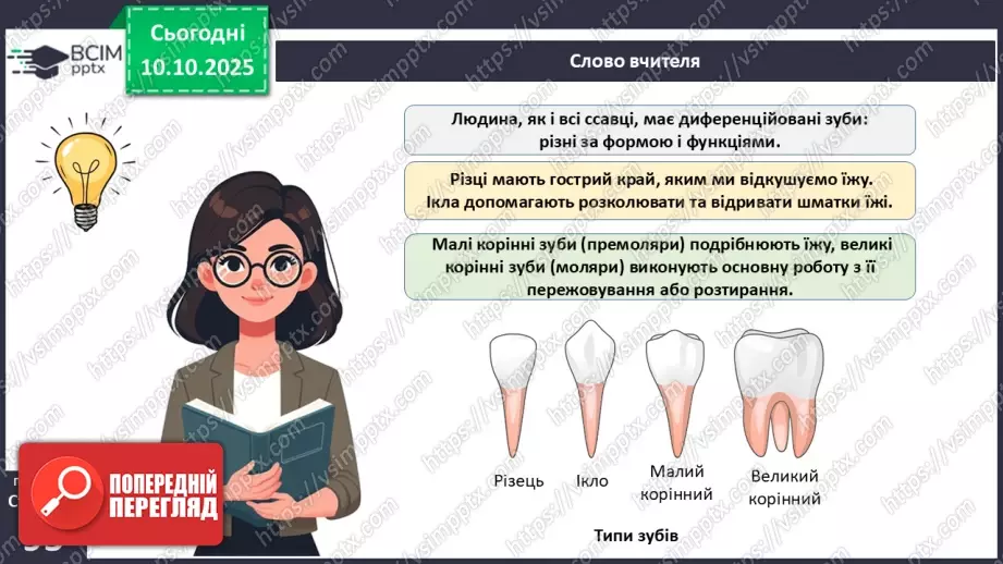 №023 - Будова й функції травної системи людини. Травлення в ротовій порожнині та шлунку.10 №023 - Будова й функції травної системи людини. Травлення в ротовій порожнині та шлунку.10