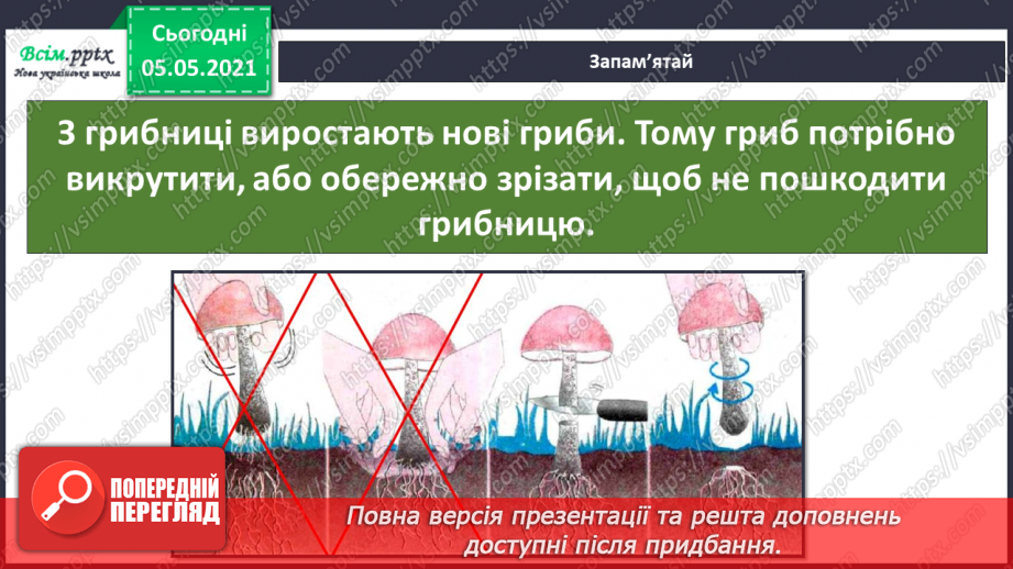 №037 - Значення грибів.9 №037 - Значення грибів.9