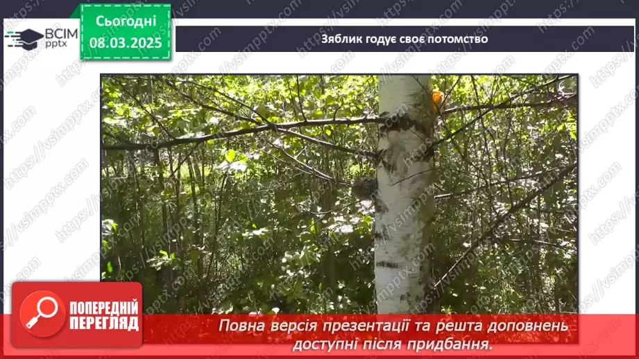 №0076 - Чому птахи в’ють гнізда40 №0076 - Чому птахи в’ють гнізда40