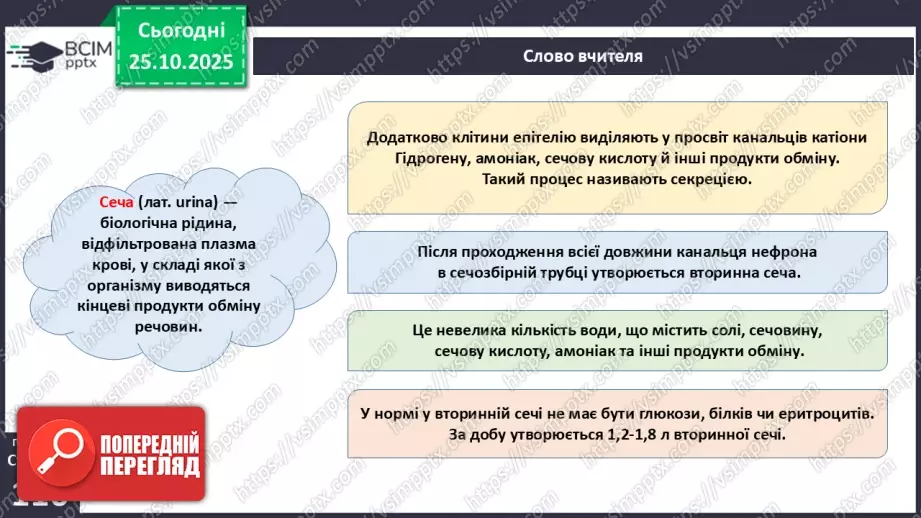 №029 - Будова й функції сечовидільної системи людини. Сечоутворення.15 №029 - Будова й функції сечовидільної системи людини. Сечоутворення.15