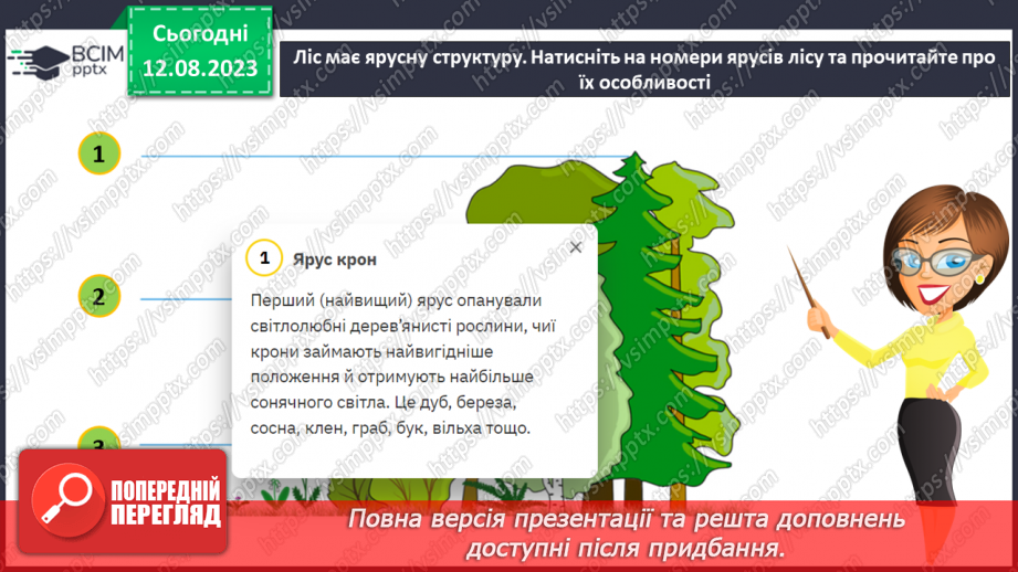 №38 - Ліс як екосистема. Структура лісу.13 №38 - Ліс як екосистема. Структура лісу.13