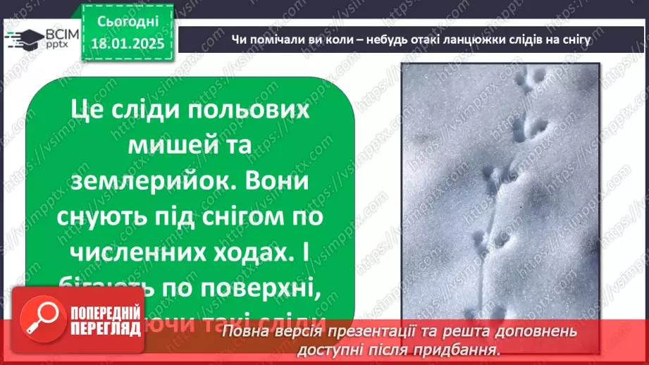 №0056 - Як зимують птахи та звірі6 №0056 - Як зимують птахи та звірі6