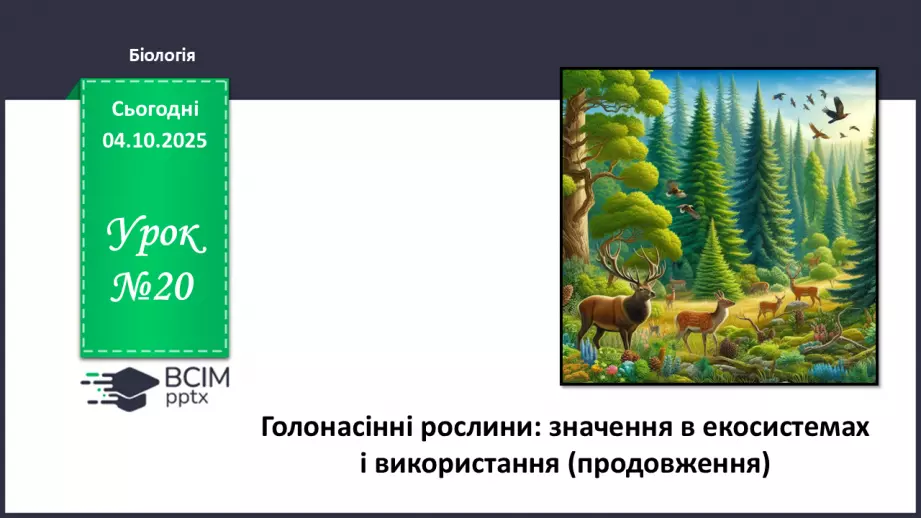 №020 - Голонасінні рослини: значення в екосистемах і використання (продовження).0 №020 - Голонасінні рослини: значення в екосистемах і використання (продовження).0