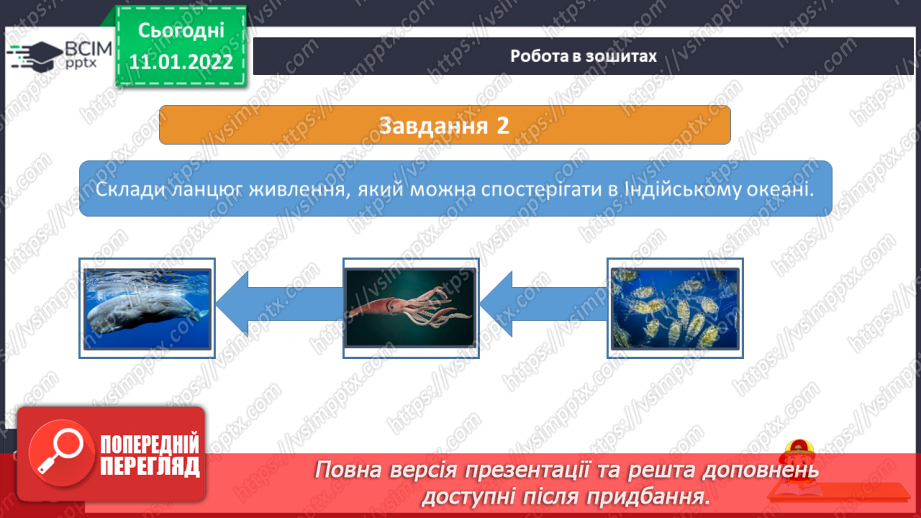 №053 - Що приховують глибини Індійського океану17 №053 - Що приховують глибини Індійського океану17