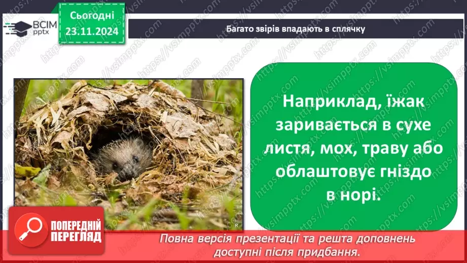 №0037 - Як звірі готуються до зими24 №0037 - Як звірі готуються до зими24