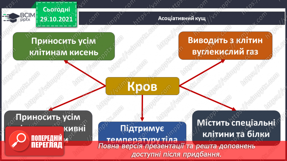 №033 - Чому кров червона?6
