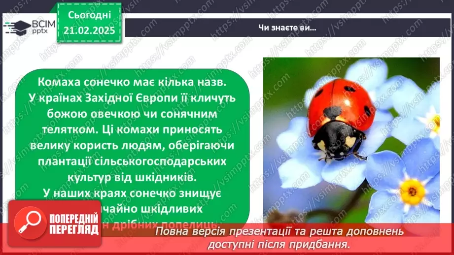 №0072 - Які комахи з’являються першими навесні27