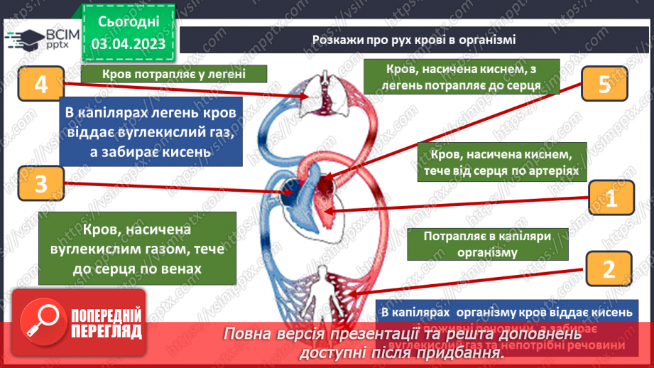 №59 - Узагальнення розділу «Пізнаємо організм людини в середовищі його існування». Самооцінювання навчальних результатів теми.16