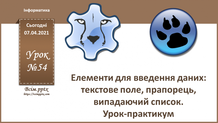 №54 - Елементи для введення даних: текстове поле, прапорець, випадаючий список, перемикач. Урок-практикум0