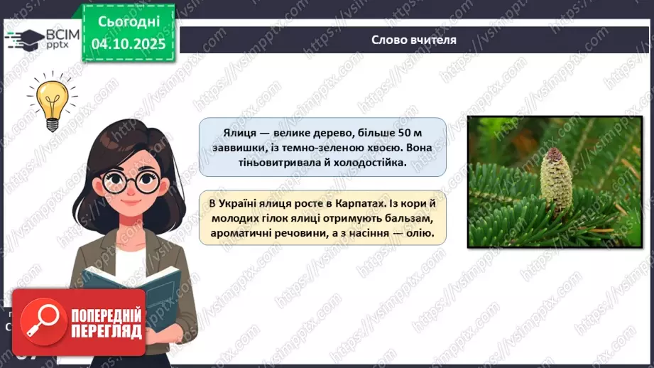 №019 - Голонасінні рослини: значення в екосистемах і використання.20 №019 - Голонасінні рослини: значення в екосистемах і використання.20