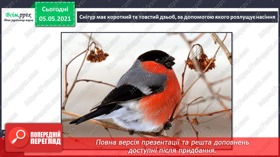 №040 - Птахи.7 №040 - Птахи.7