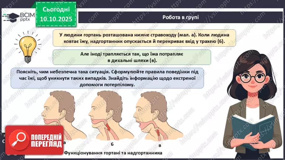 №023 - Будова й функції травної системи людини. Травлення в ротовій порожнині та шлунку.15 №023 - Будова й функції травної системи людини. Травлення в ротовій порожнині та шлунку.15