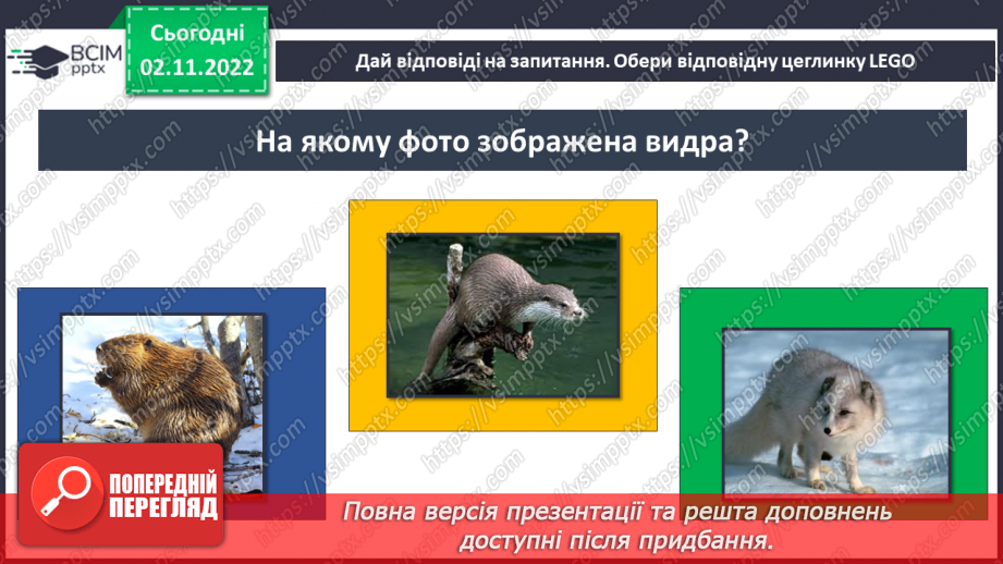 №035 - Тварини Європи.15