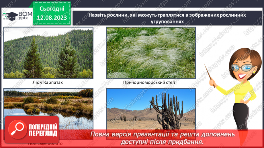 №38 - Ліс як екосистема. Структура лісу.6 №38 - Ліс як екосистема. Структура лісу.6