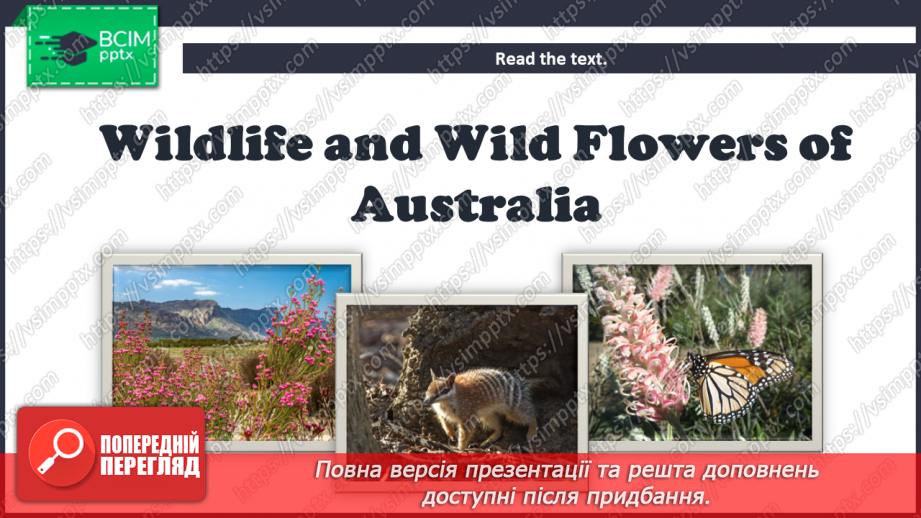 №081 - Fact File. Australia. Wildlife and Wild Flowers of Australia.8 №081 - Fact File. Australia. Wildlife and Wild Flowers of Australia.8