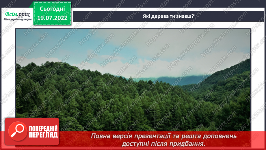 №03 - Аплікація із рваних частин паперу. Створення аплікації «Диво-дерево».5