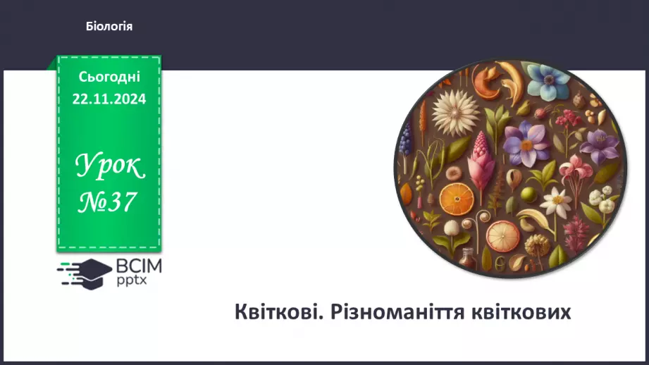 №37 - Квіткові. Різноманіття квіткових (продовження).0 №37 - Квіткові. Різноманіття квіткових (продовження).0