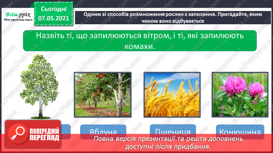 №048 - Узагальнення і систематизація знань учнів. Діагностична робота з тем «Різноманітність рослин і тварин». Підсумок за семестр.8